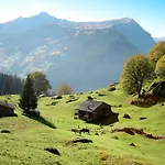 Pfingsteggblick By Interhome Grindelwald