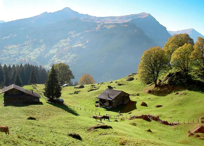 Pfingsteggblick By Interhome Grindelwald